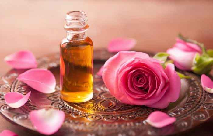 گل محمدی مناسب روغن گیری اصل با عطر طبیعی و رایحه دلنشین برای مراقبت پوست